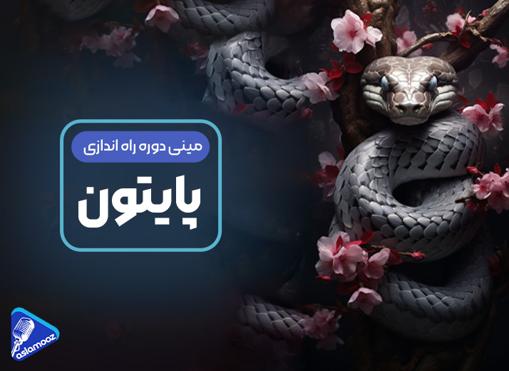 دوره زبان اصلی پایتون